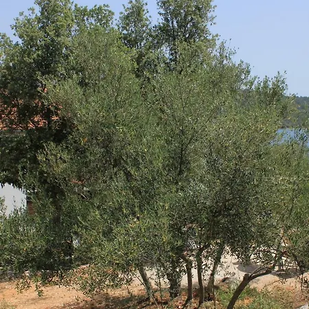 Appartement By The Sea Cove Mala Lamjana, Ugljan - 347 Kali