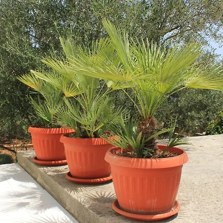 By The Sea Cove Mala Lamjana, Ugljan - 347 Kali