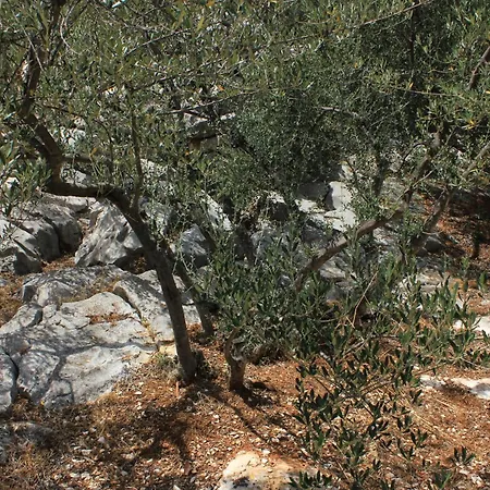 By The Sea Cove Mala Lamjana, Ugljan - 347 דירה *